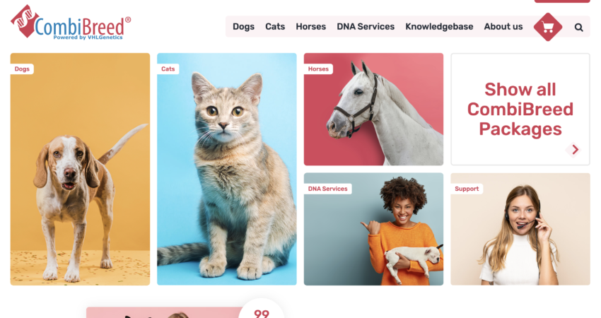 VHL Genetics custom software project